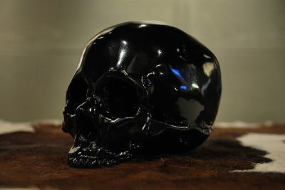 �V�F���^�[�o���N�@�I���W�i���@�g�C�@�h�N���@�q���[�}���@���@�摜�@�΂�